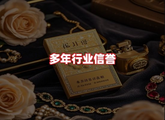 专业团队